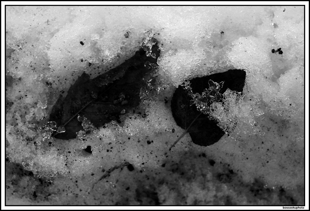 ex neve#2