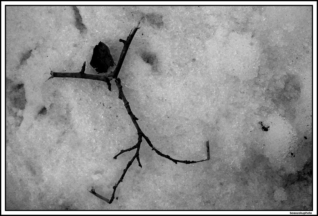 ex neve#3