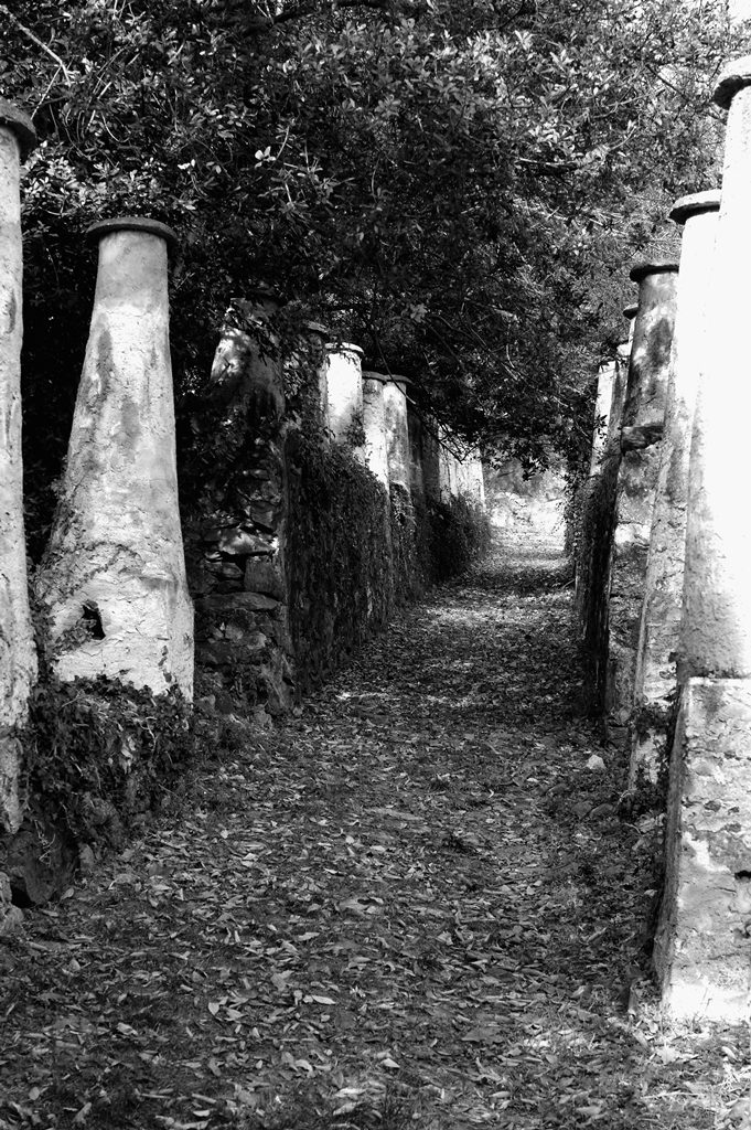 Scorcio del canavese