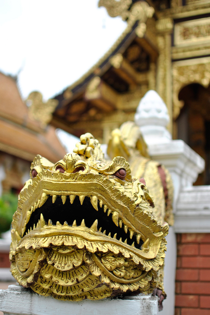 Thai 2011 - 18