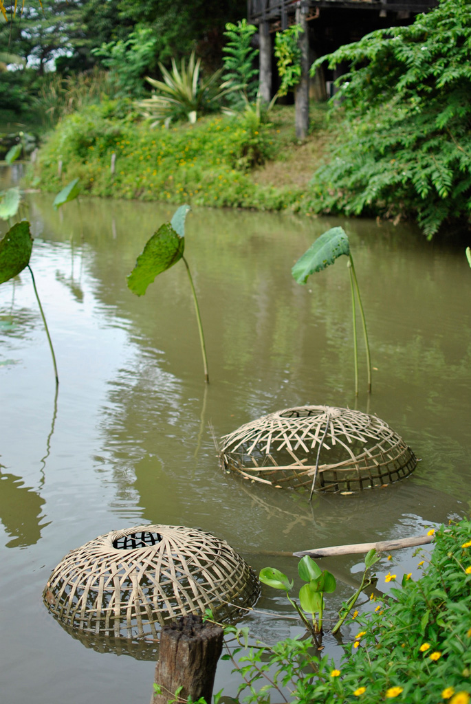 Thai 2011 - 22