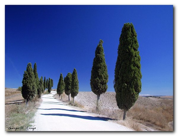 Tuscan road