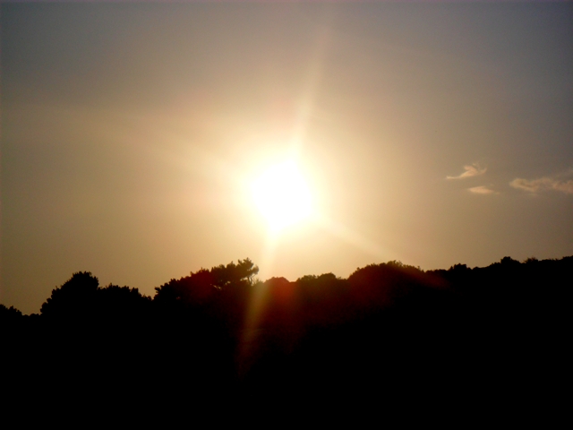 the sun