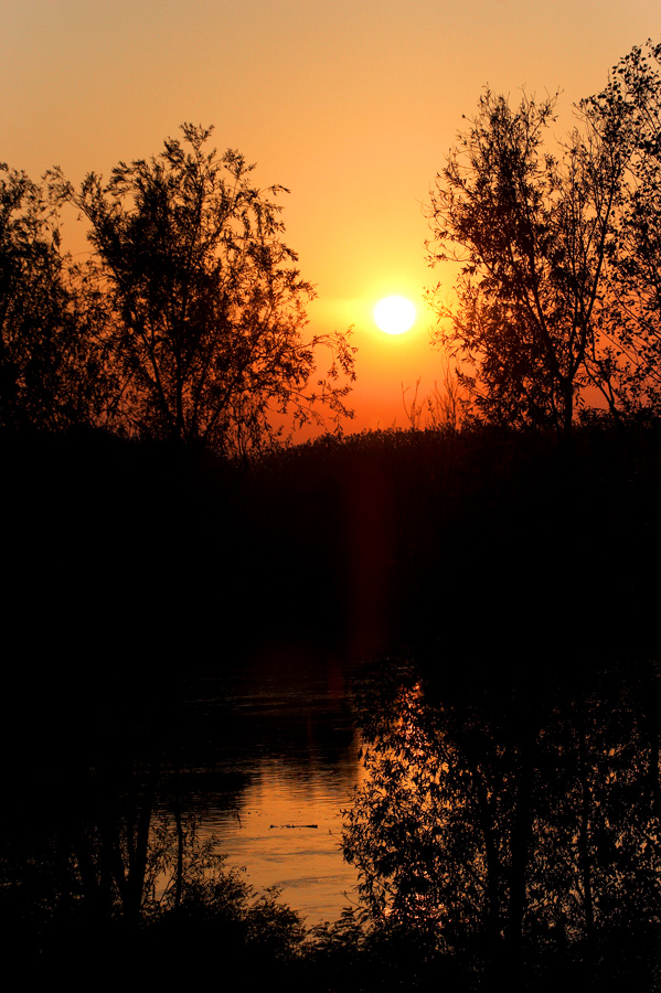 Sul Po al tramonto 2