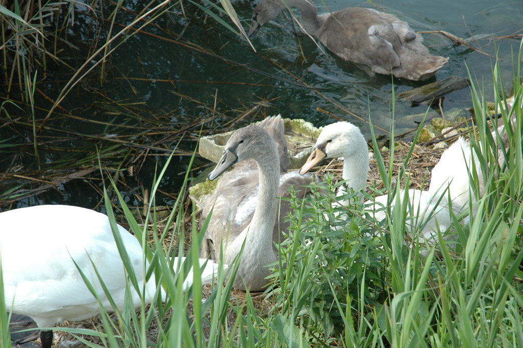 Un po' di natura
