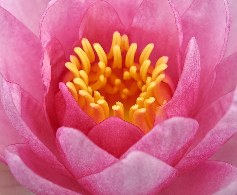 12035