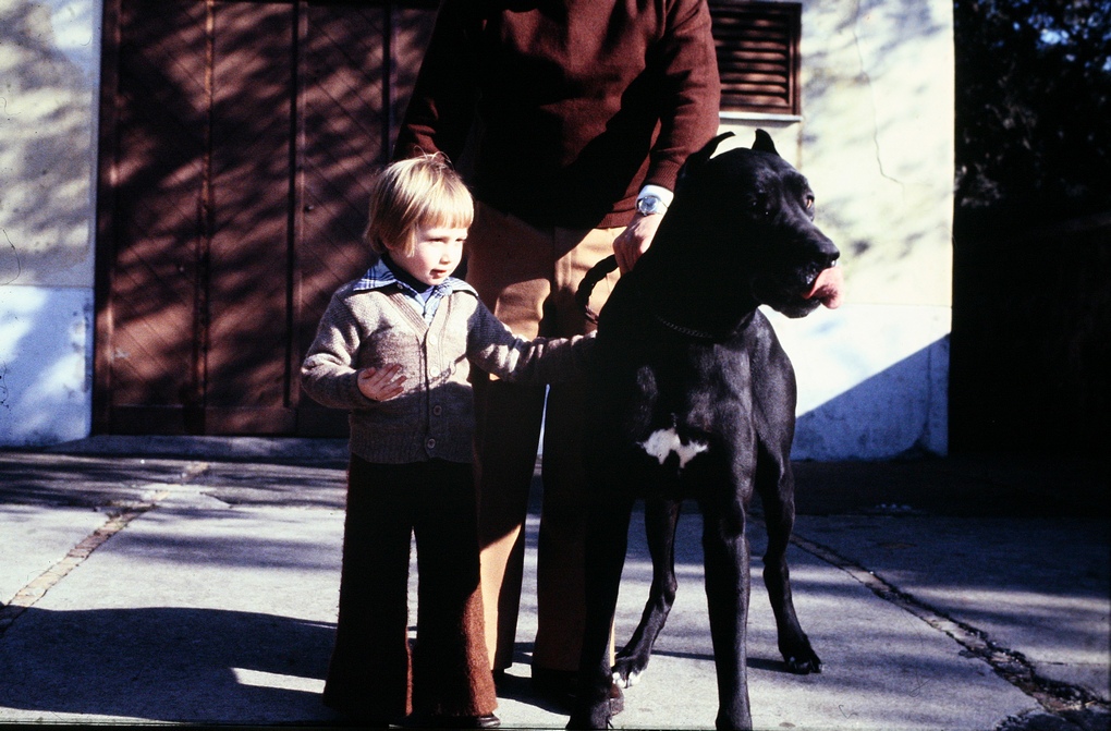 Bimbo e Cane