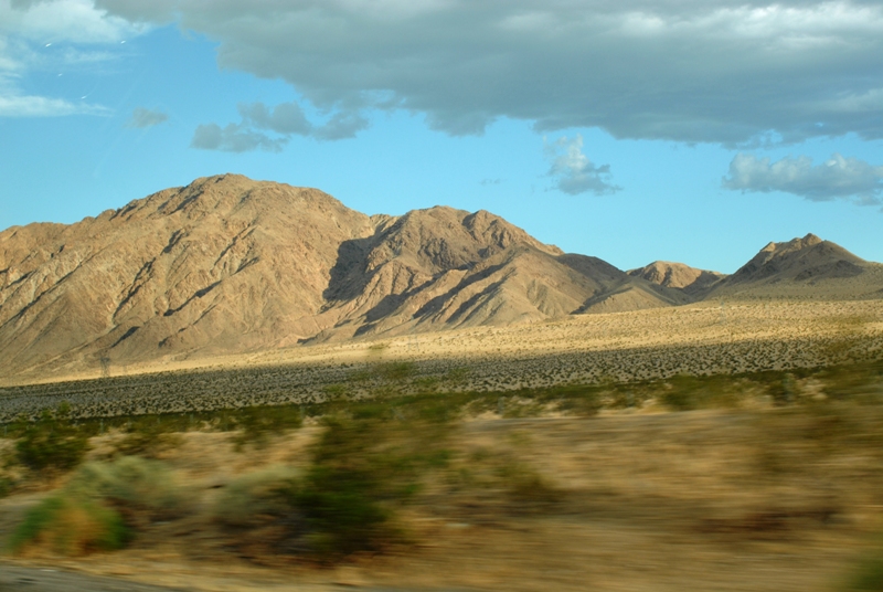 ARIZONA