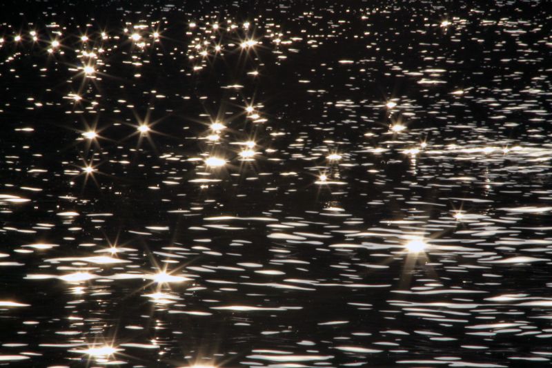Un mare di "stelle"