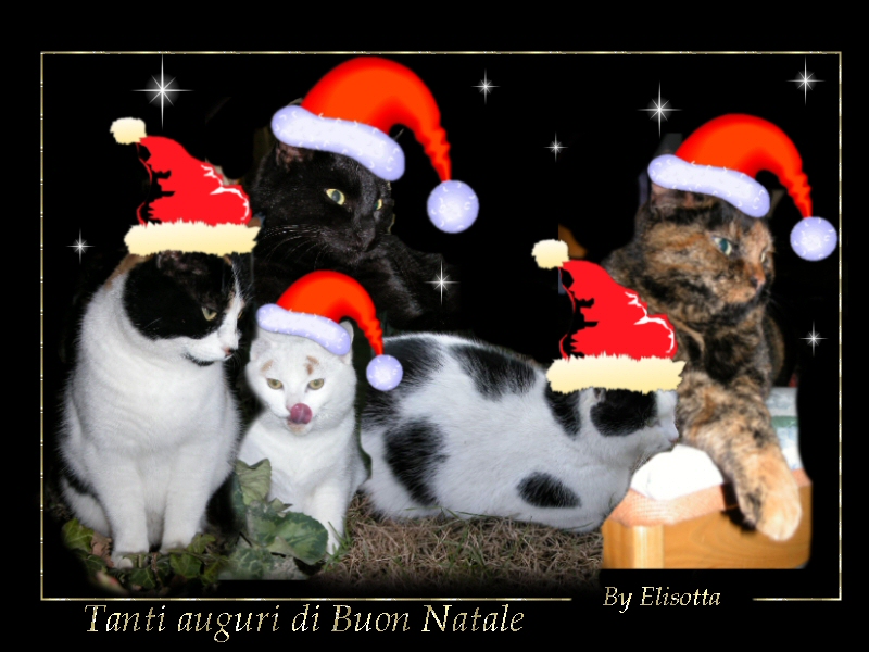 Buon Natale!!!