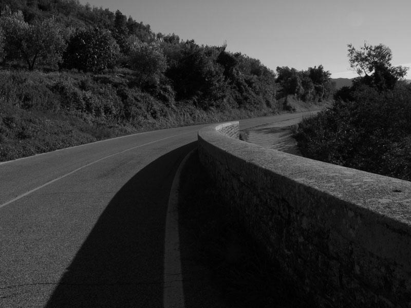 Curva del Pino