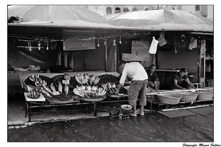 fish market