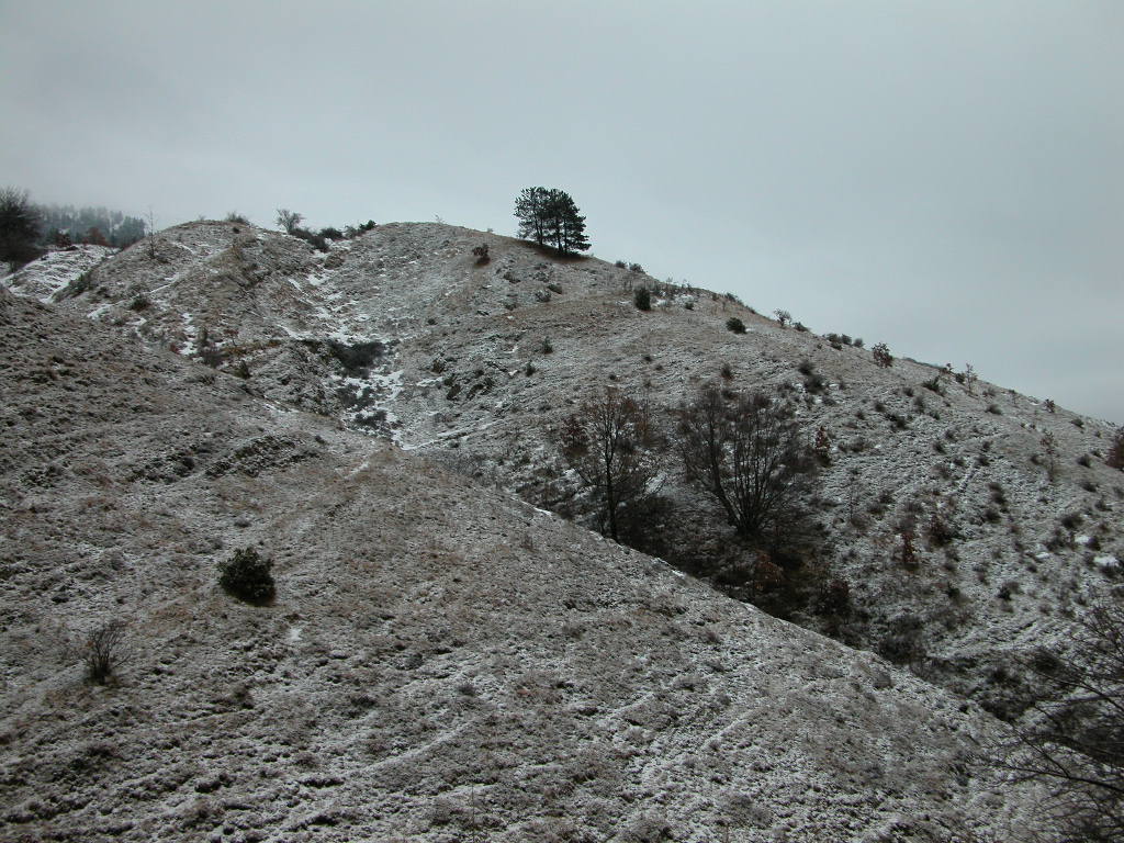 Monte Cavallo