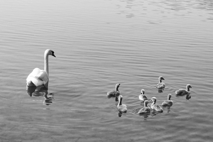 Famiglia sull'acqua