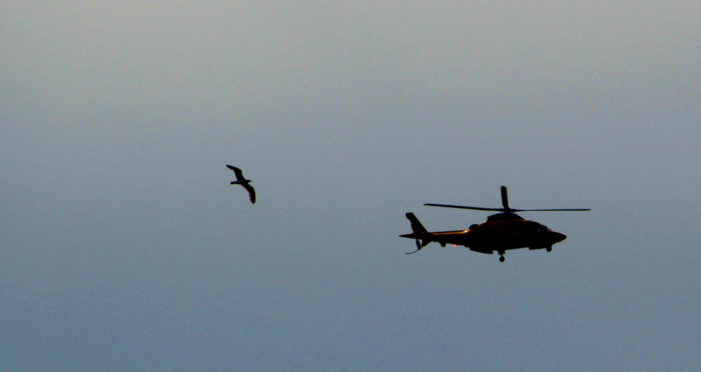 in volo...