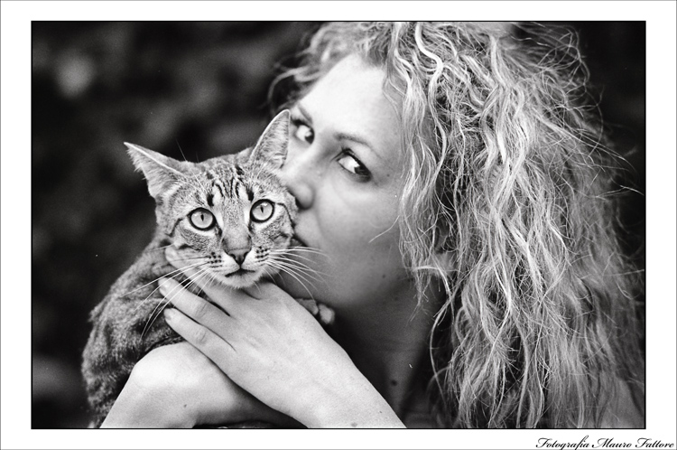 cat portrait