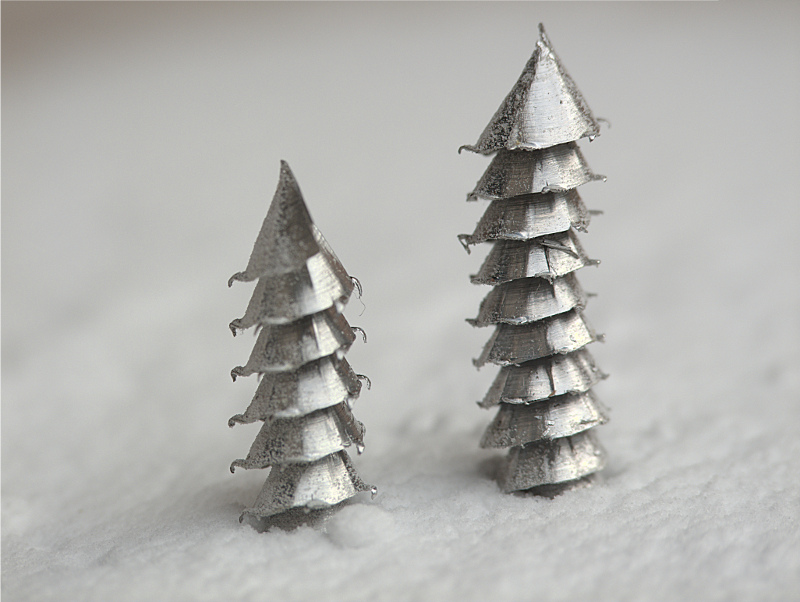 pines and snow ...