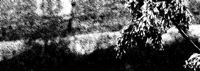 PICT3859 final part aRT_s.jpg