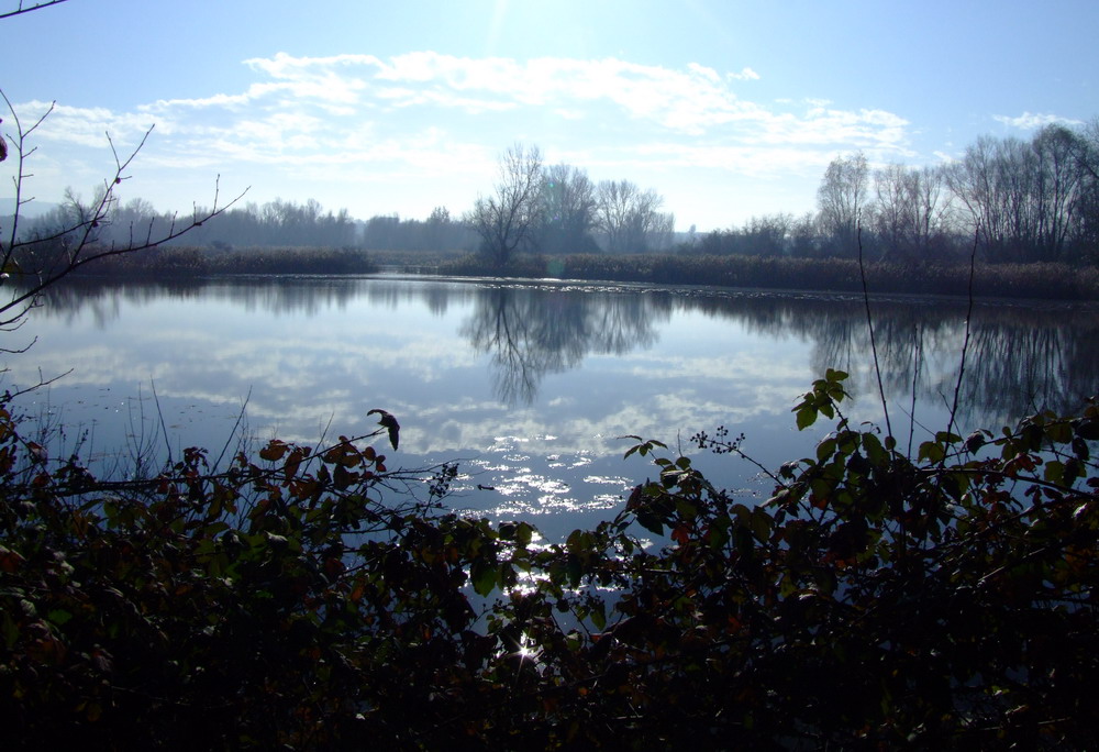 specchi d'acqua 2