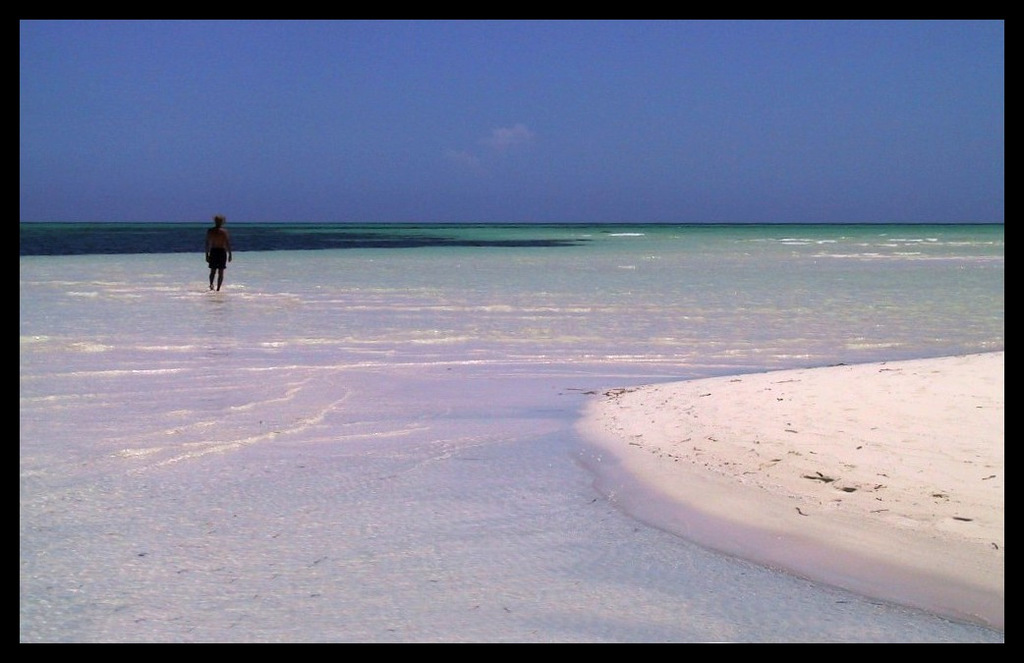 the beach