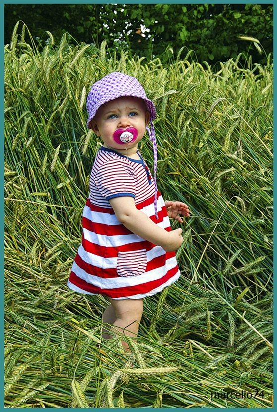 Il " fiore" nel grano