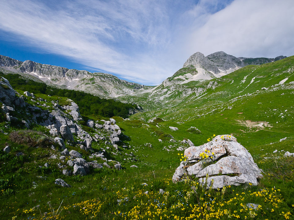 valle verde