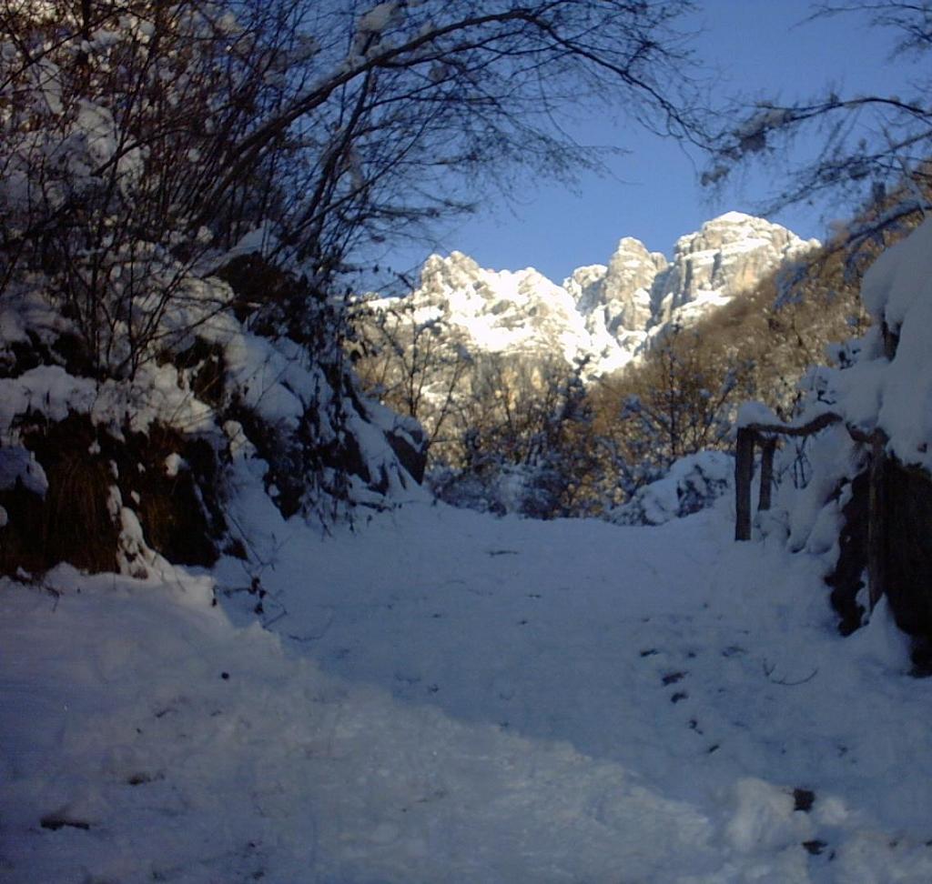 30dic05 (-10 c): da Erve (LC) verso il Resegone