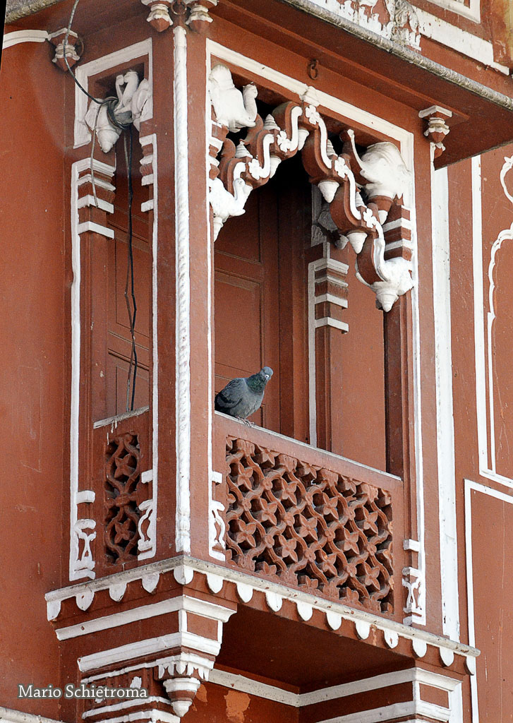 India meravigliosa