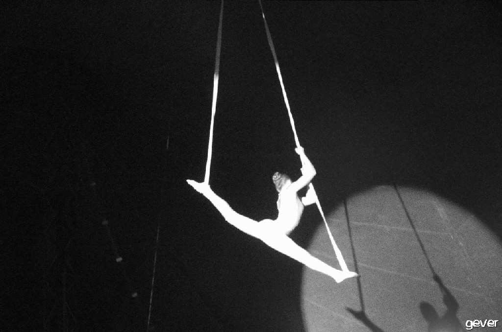 circo r. martni donna orfei 2