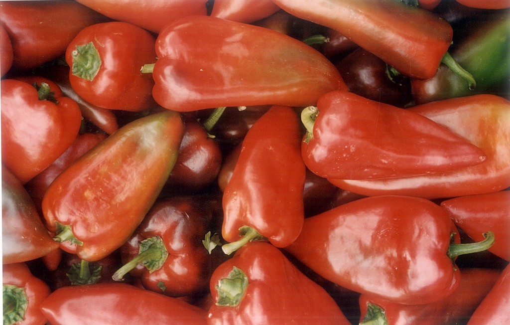 Peperoni