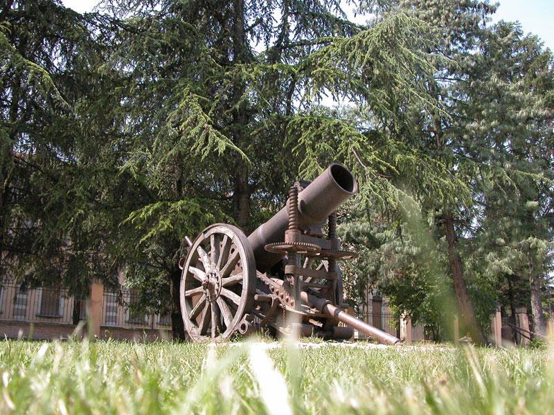 Cannone dal erba
