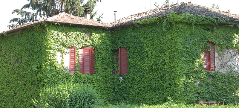 Casa di erba