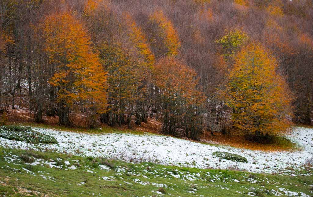 autunno,inverno,primavera..