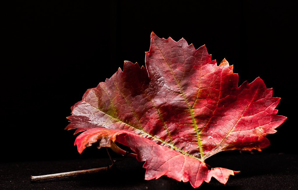 In autunno