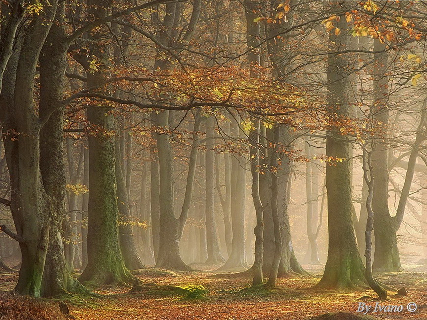 595871
