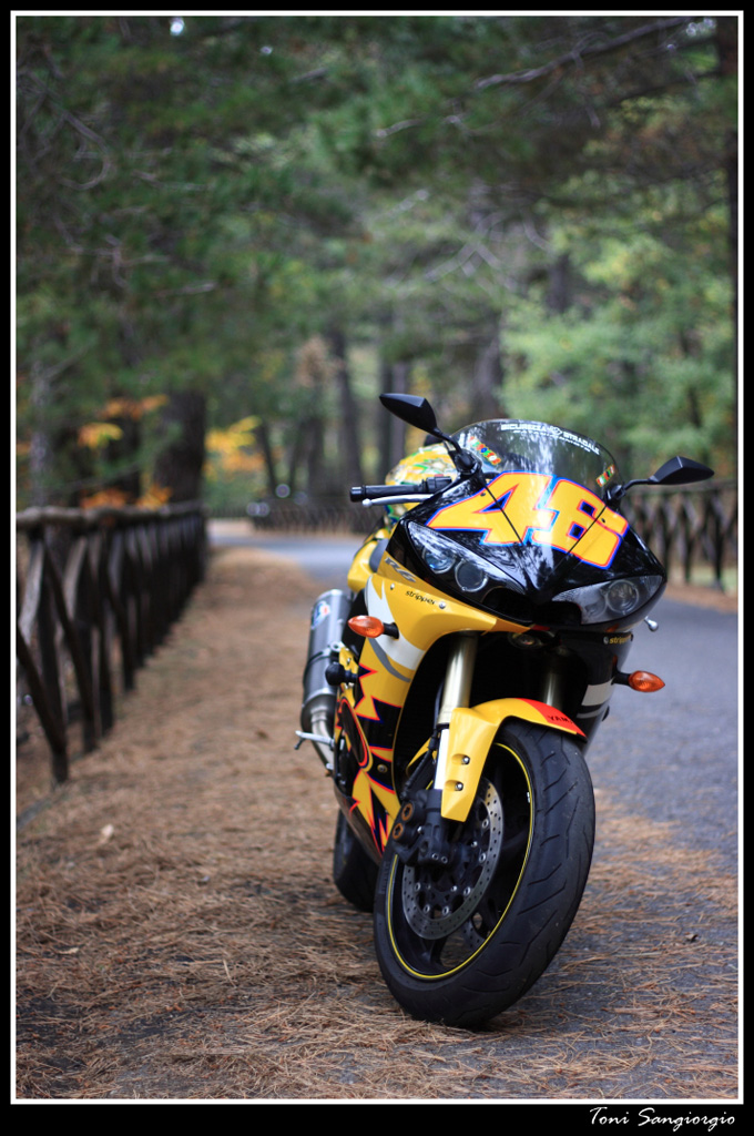 motoRitratto