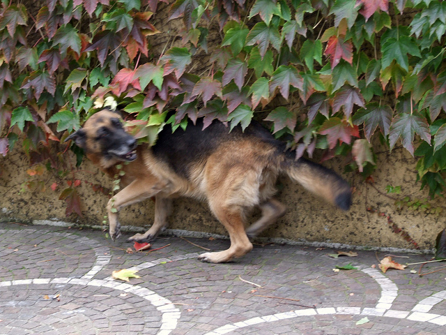 Lo spirito dell'autunno