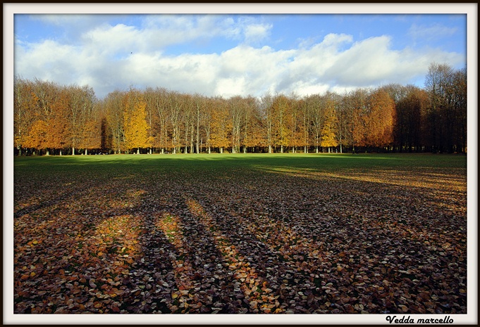 Parco...