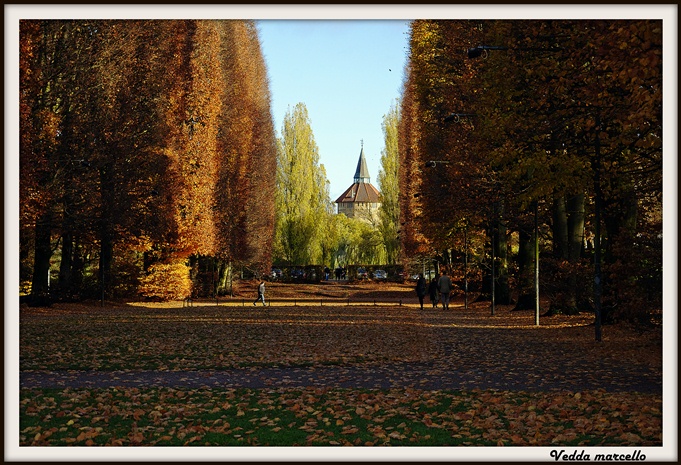 Parco.