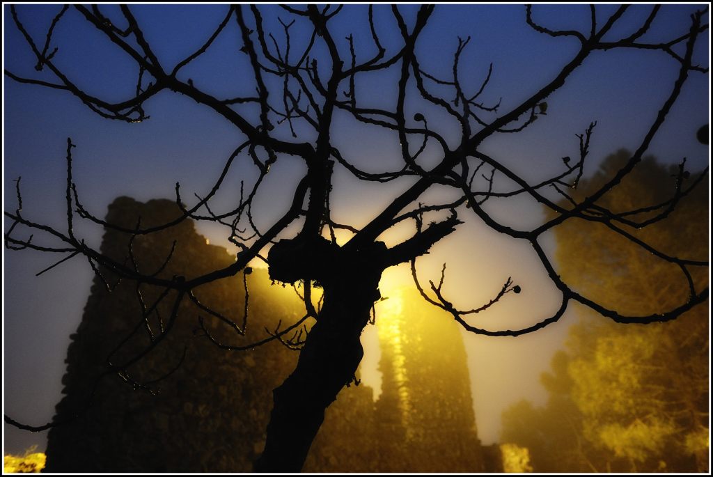 Darkness