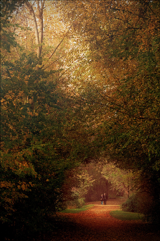 Contest 67 - "I colori dell'autunno"