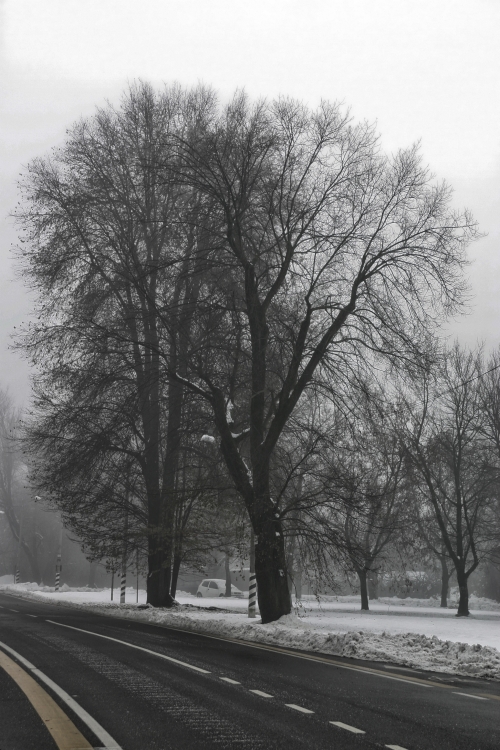 inverno - 8365