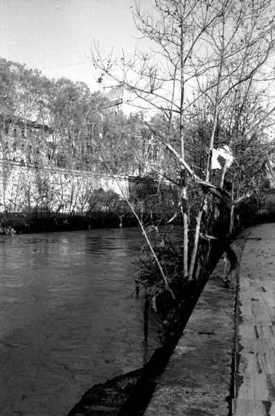 Fiume7
