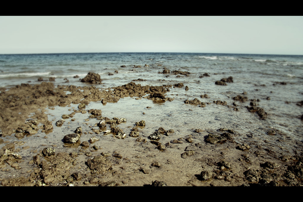 Lanzarote II