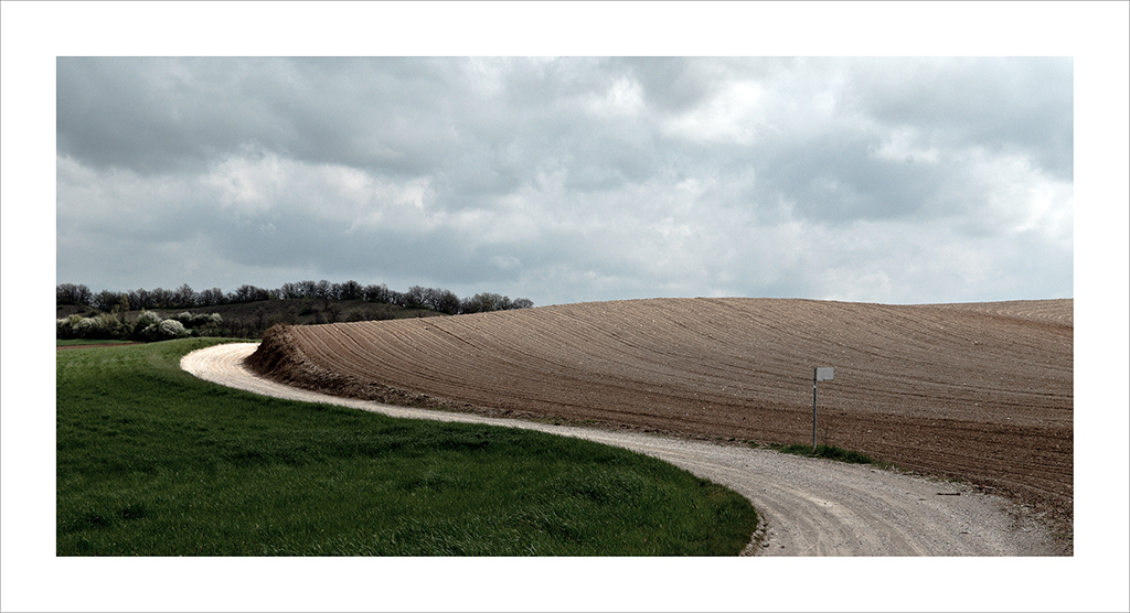 campagna mantovana