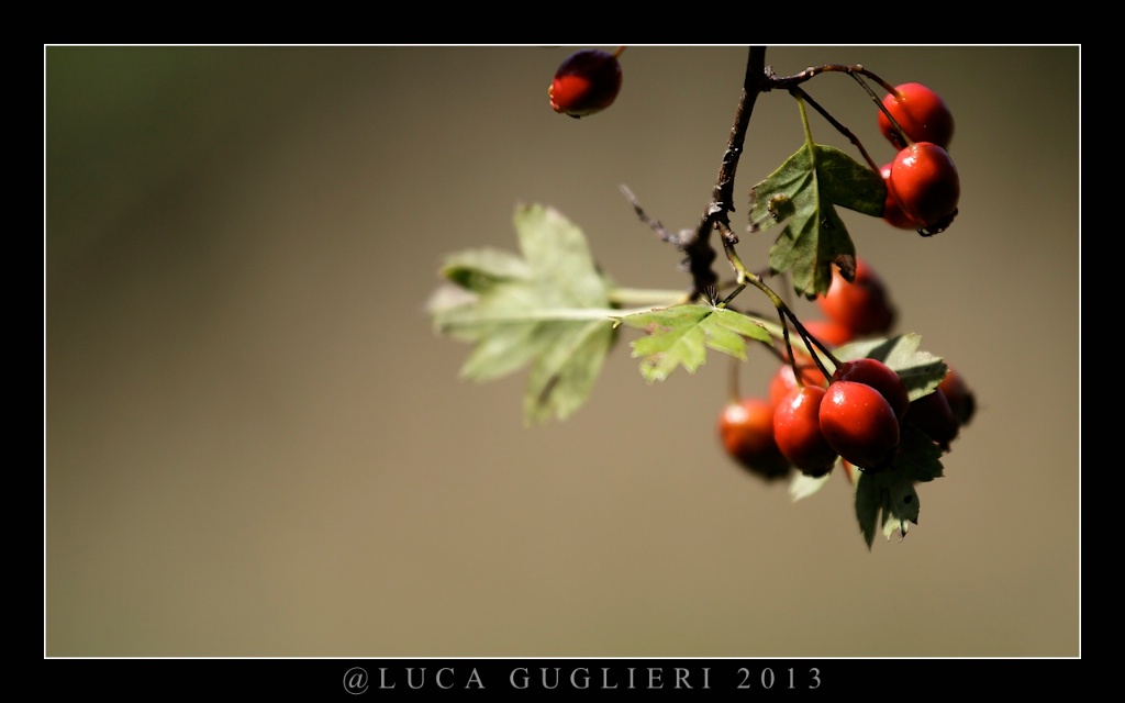 rosso e verde