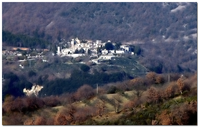 Collepino!