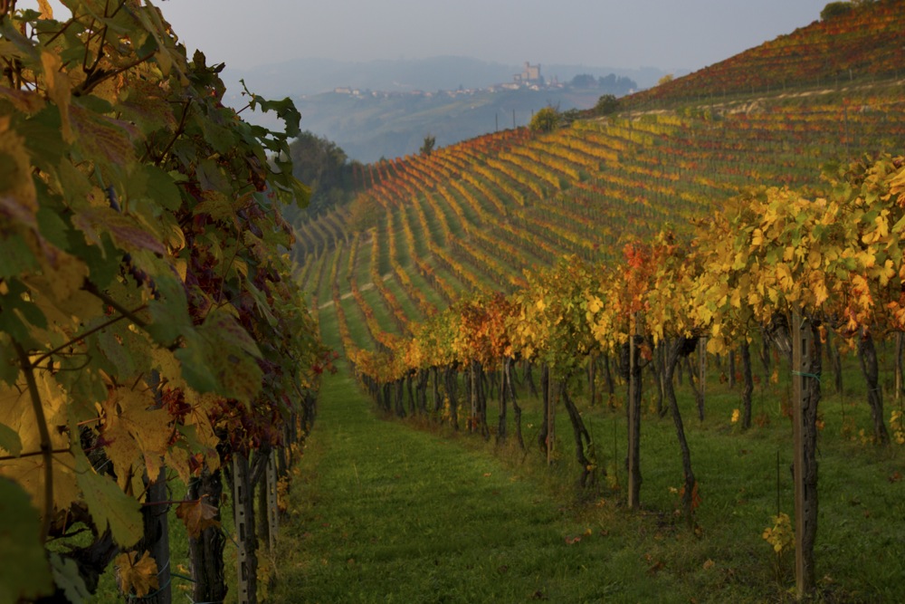 Langhe...