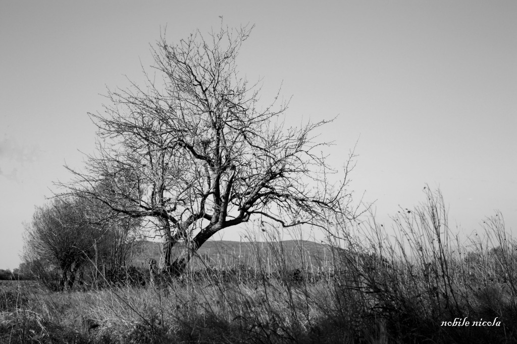 autunno
