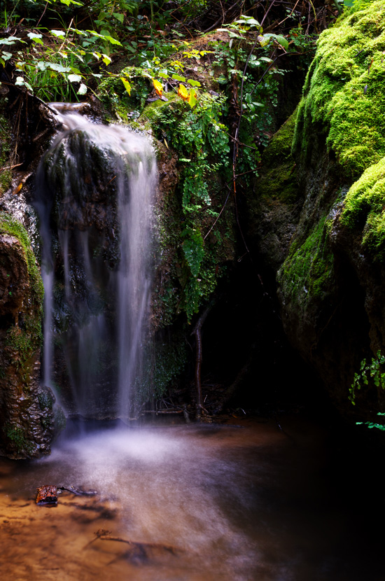 nature